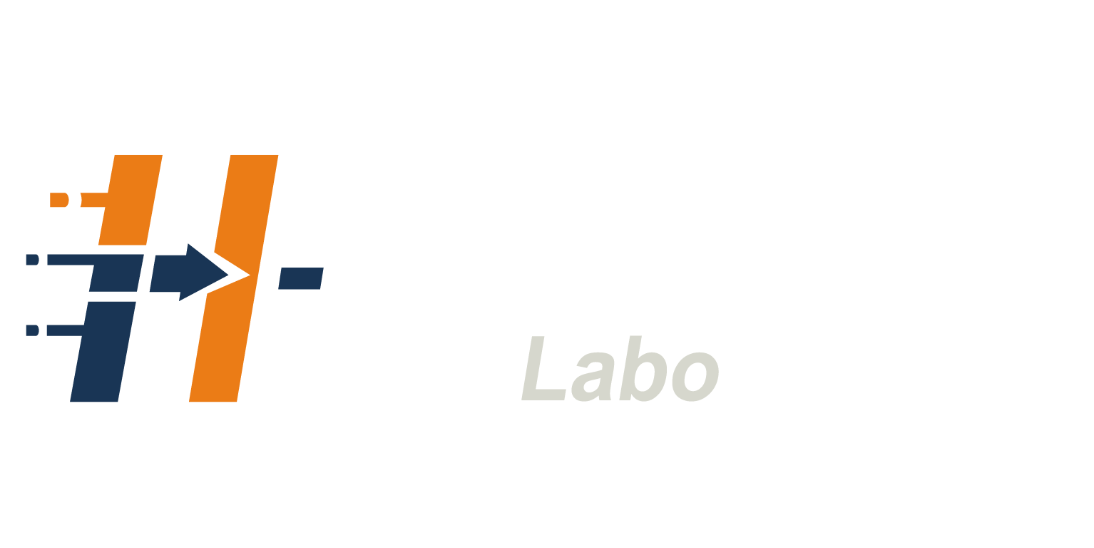 Dash Works Labo